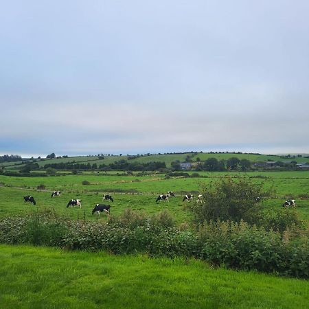 Radharc Na Greine Appartement Cork Buitenkant foto